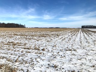 Property photo 46 - OHIO REAL ESTATE AUCTION - 202+/- ACRES IN 3 TRACTS IN VAN WERT COUNTY, OHIO